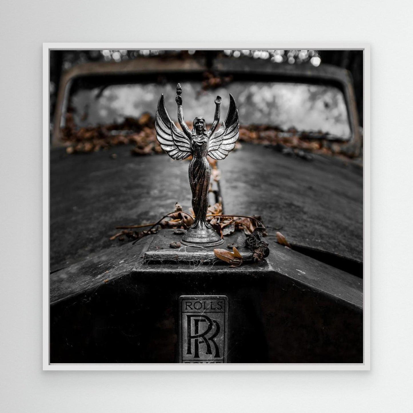 ... RR by Jörg  Vollrath