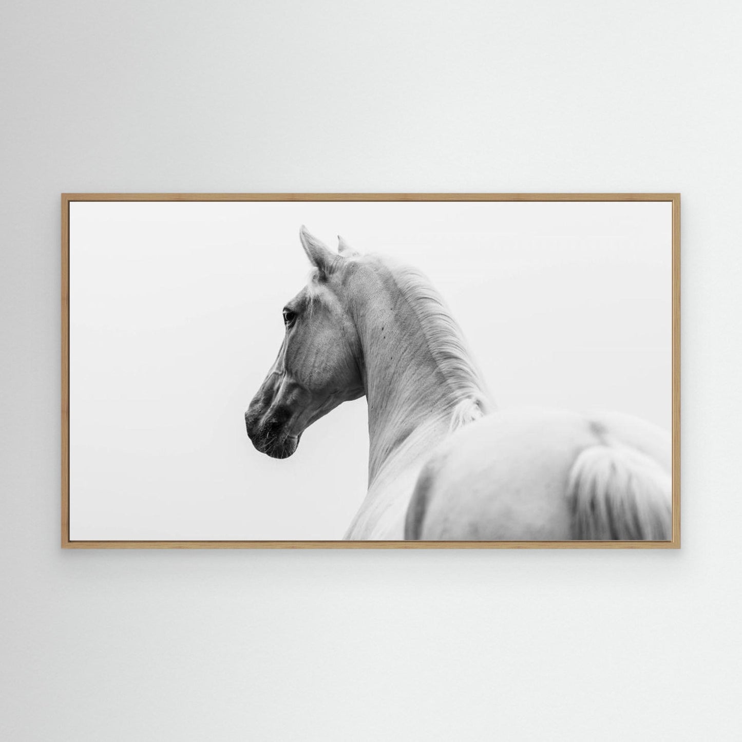 a short story about a shorn horse by Cembrzynski Ignacy