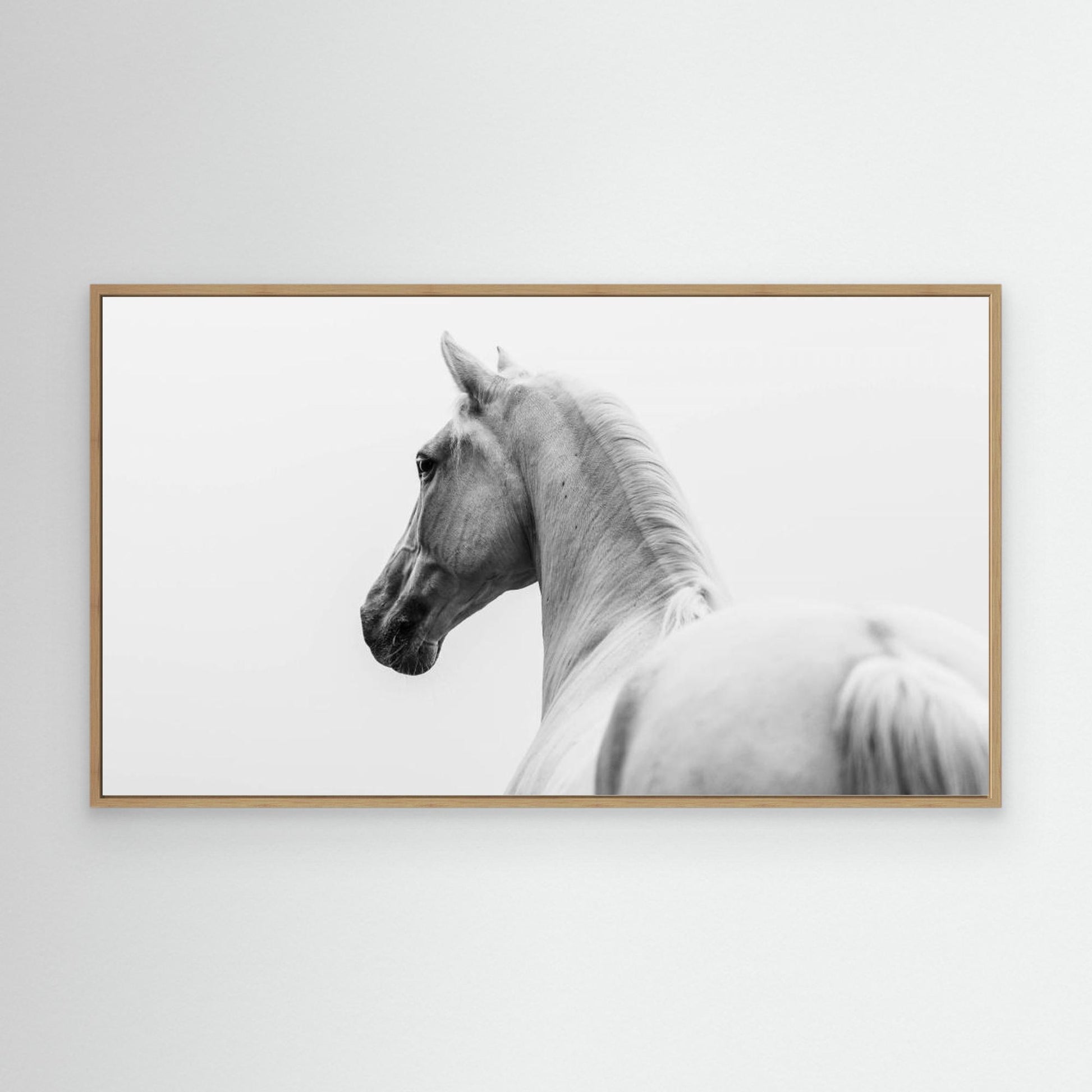 a short story about a shorn horse by Cembrzynski Ignacy