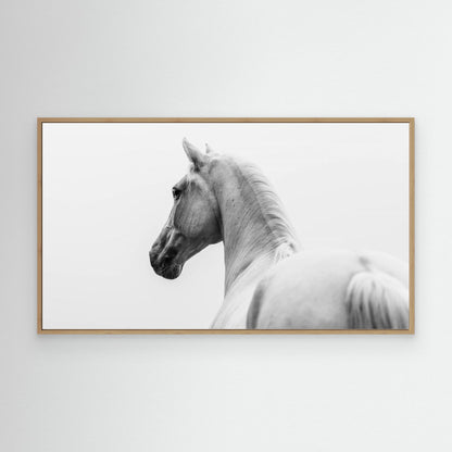 a short story about a shorn horse by Cembrzynski Ignacy