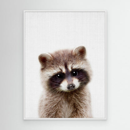 Peekaboo Raccoon by Lola Peacock