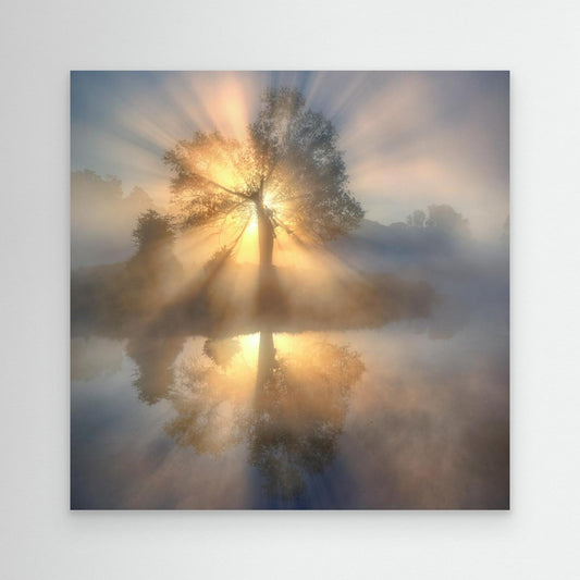 Tree of light by Keller