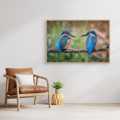 Sharing the perch by Kieran O Mahony