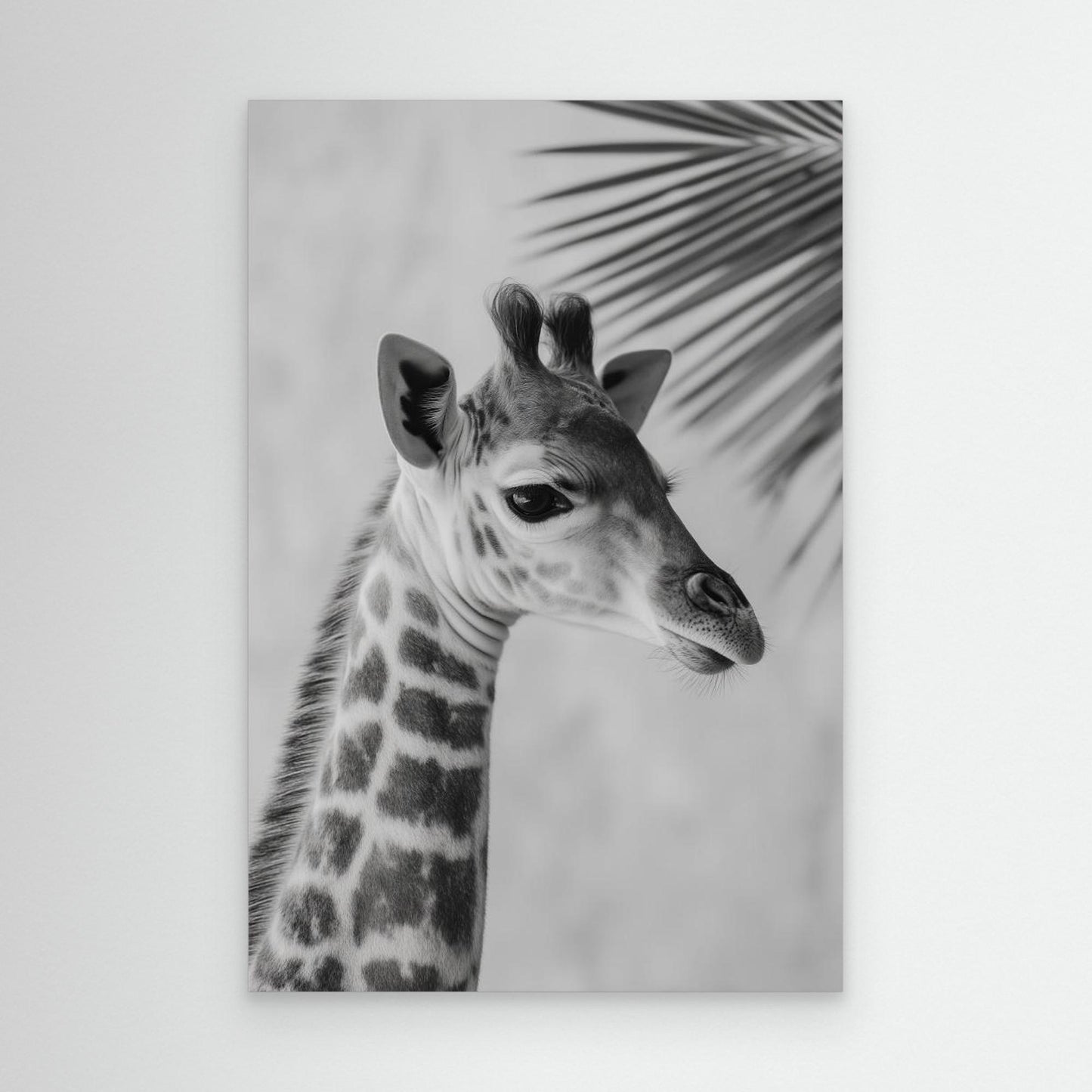 Young giraffe by Treechild