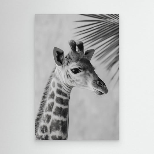 Young giraffe by Treechild