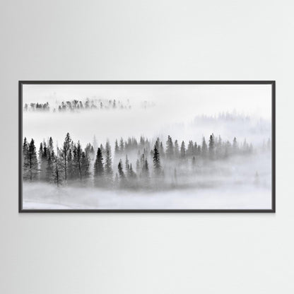 Foggy Forest by Mei Xu