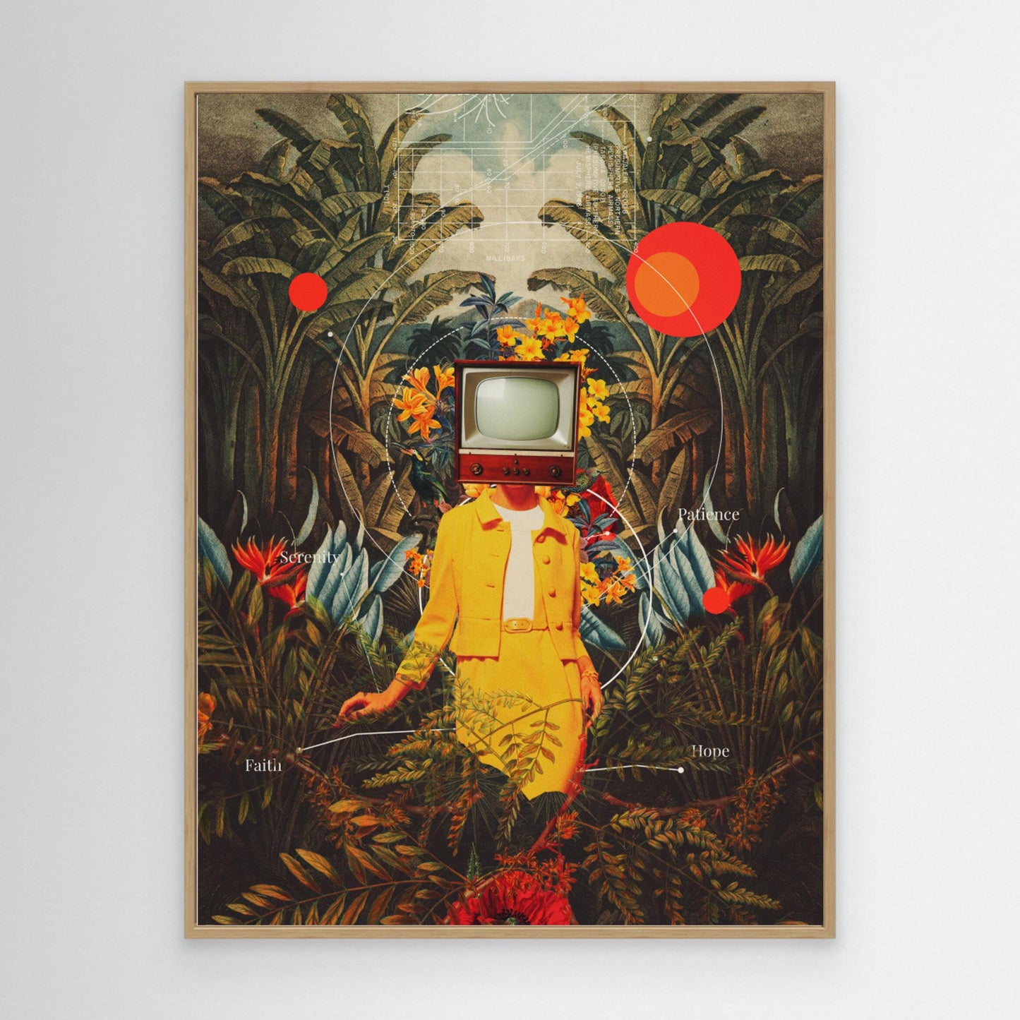 She Came From the Wilderness by Frank Moth