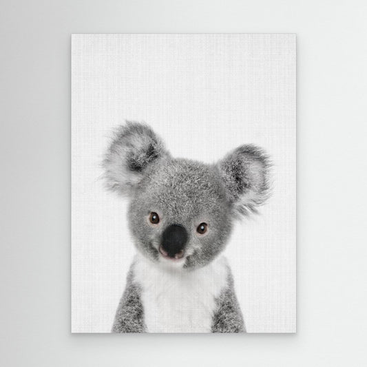 Peekaboo Baby Koala by Lola Peacock