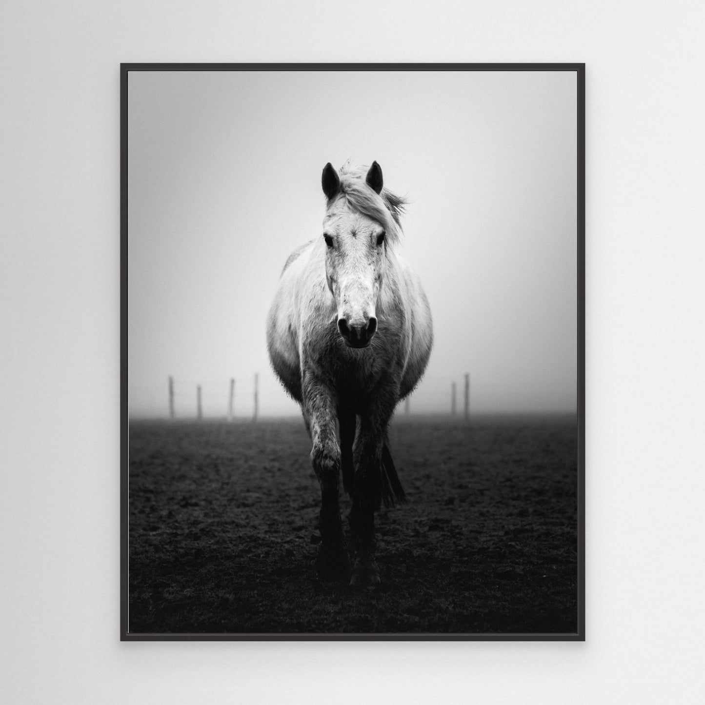 Confidence by Christophe Staelens