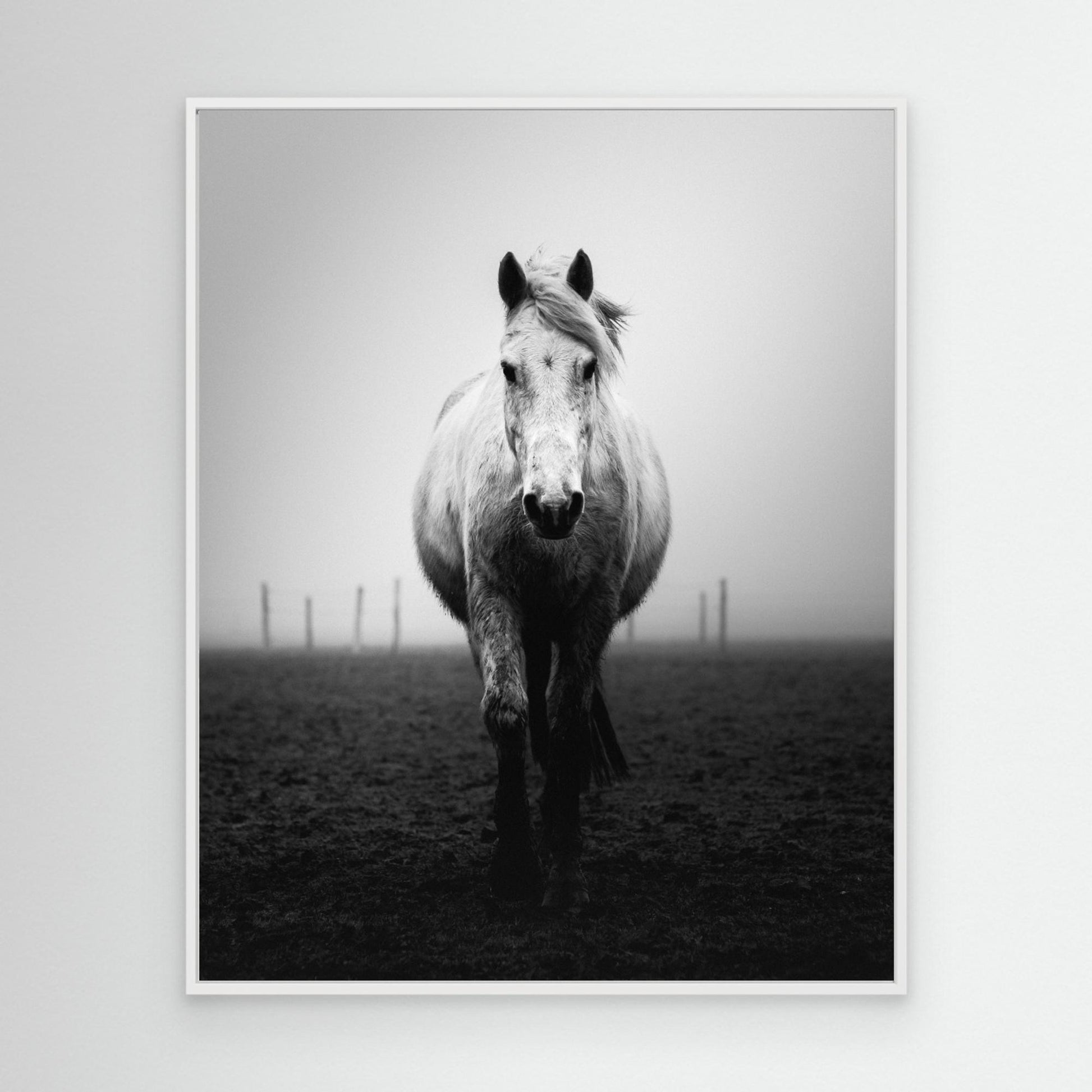 Confidence by Christophe Staelens