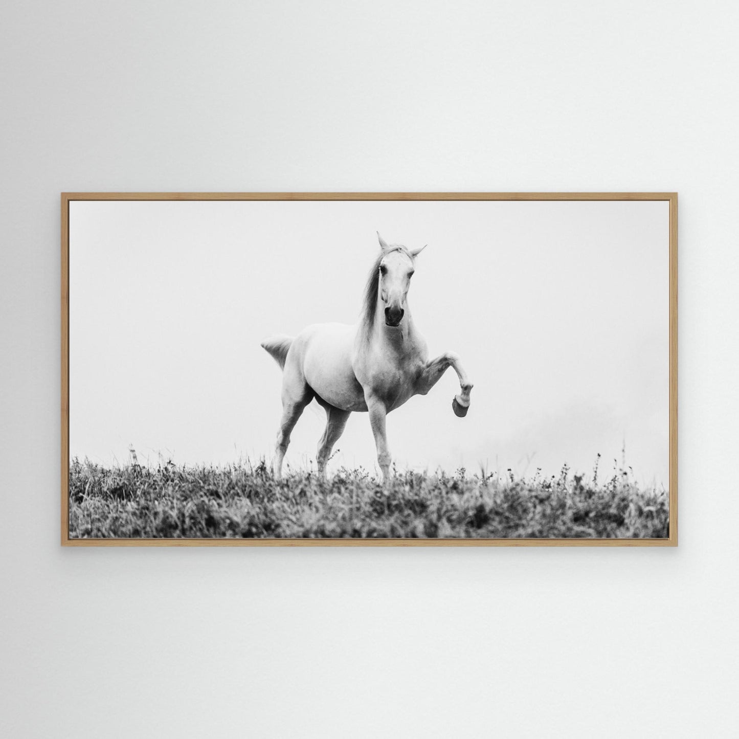 a short story about white beauty by Cembrzynski Ignacy