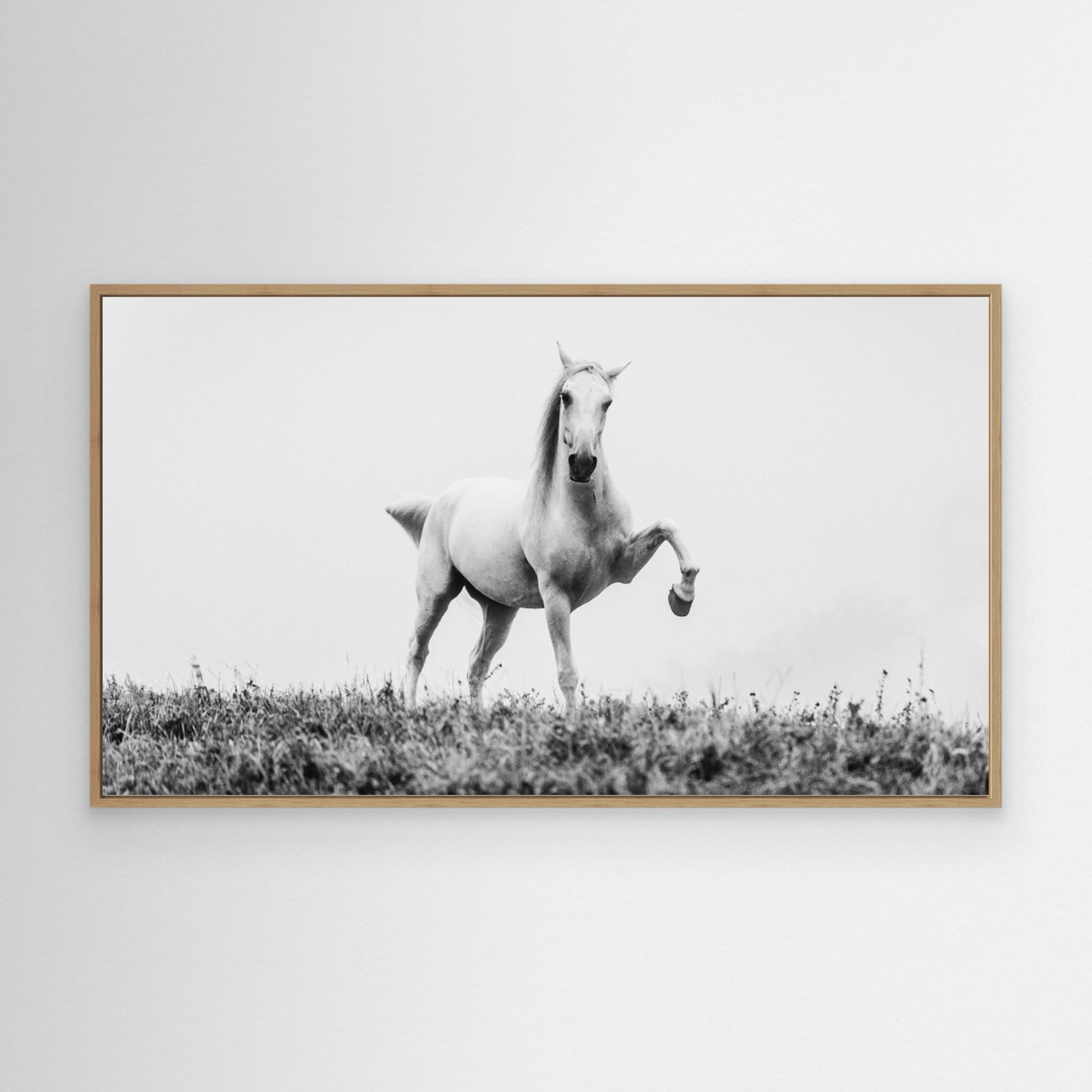 a short story about white beauty by Cembrzynski Ignacy