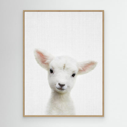 Peekaboo Baby Sheep by Lola Peacock