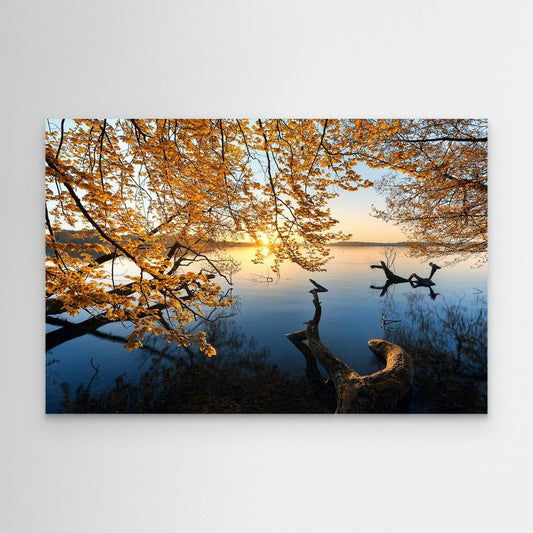 Autumn Morning by Keller