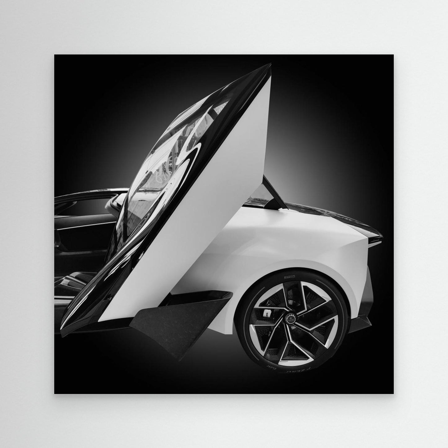 LoTuS by Konglingming