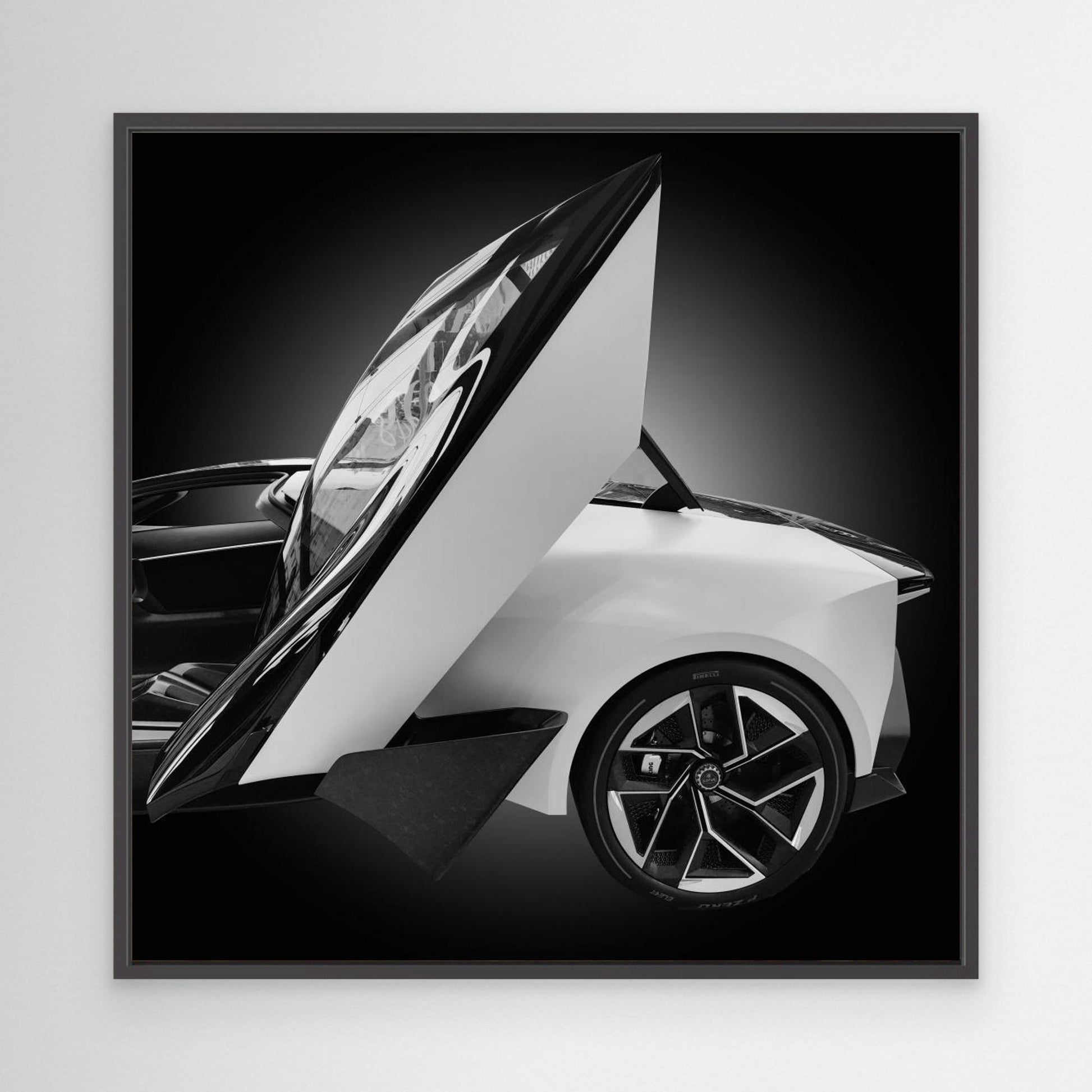 LoTuS by Konglingming