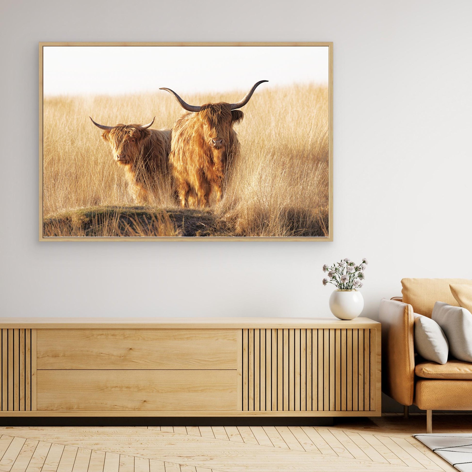 Young and old Highlander by Jaap Van Den Helm