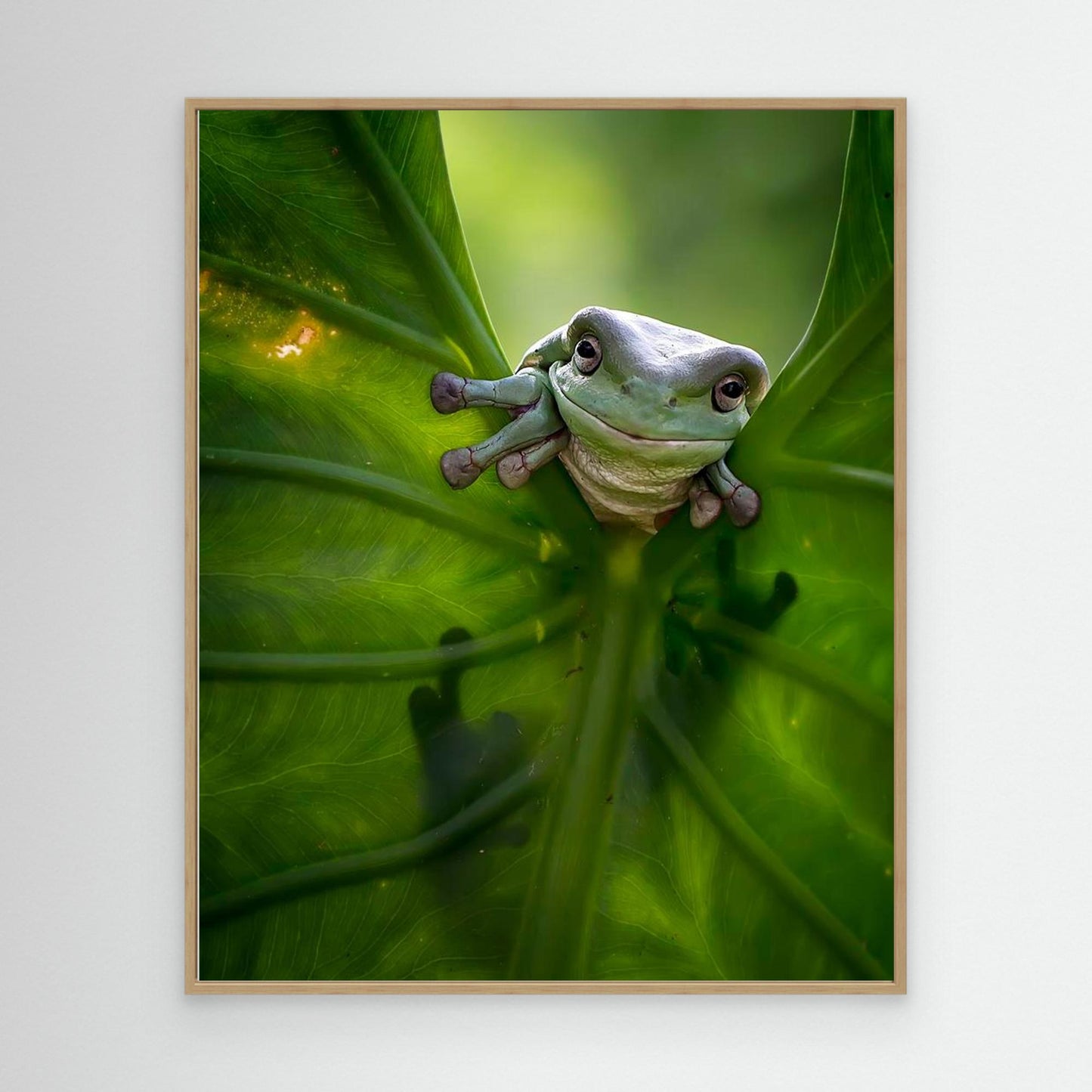 Peek A Boo by Fauzan Maududdin