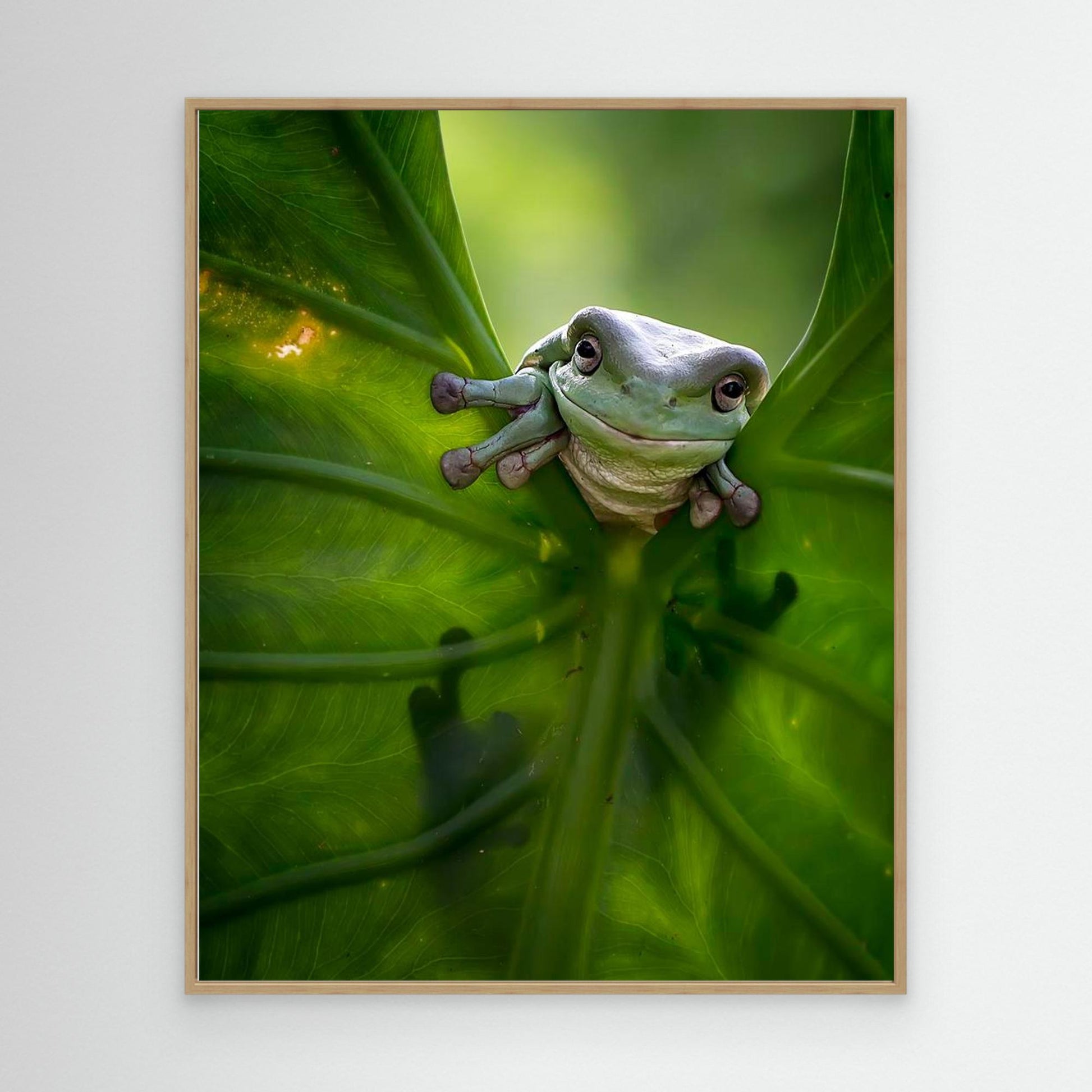 Peek A Boo by Fauzan Maududdin