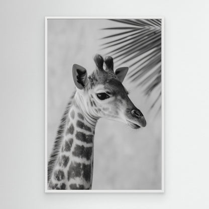 Young giraffe by Treechild
