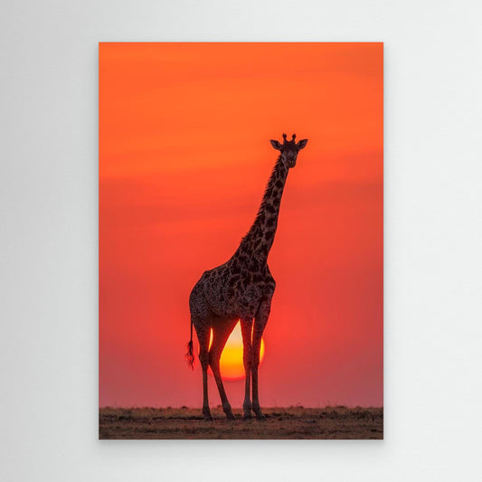 Sunset Giraffe by Henry Zhao