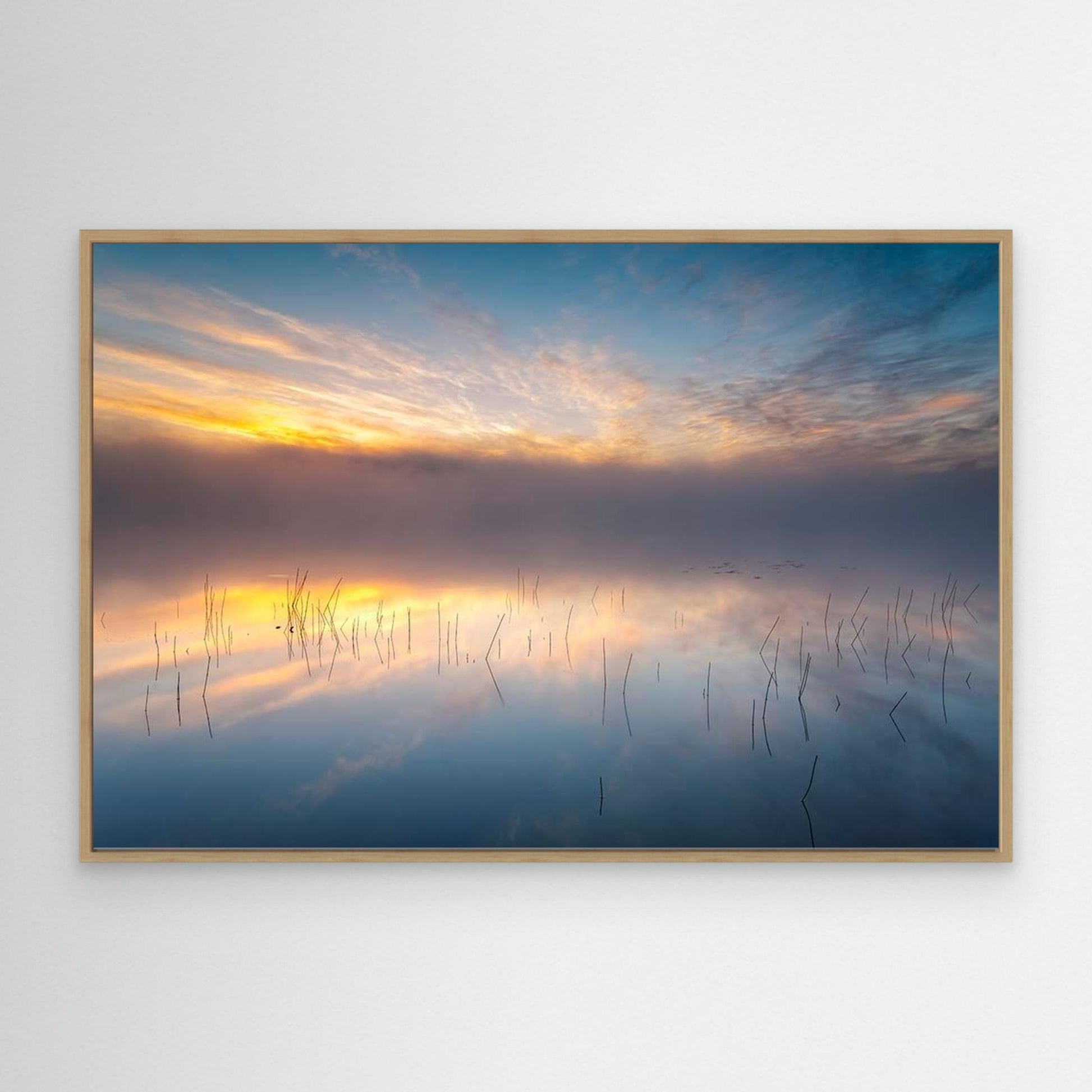 Reeds by Keller