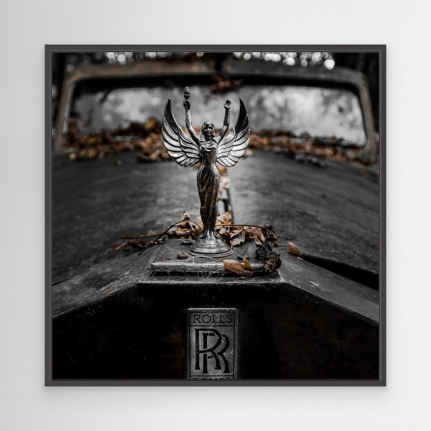 ... RR by Jörg  Vollrath