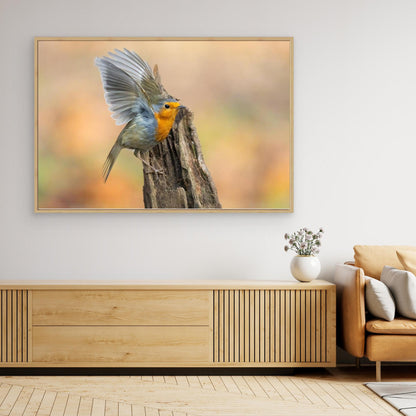 Open Wings by Massimo Chiodini