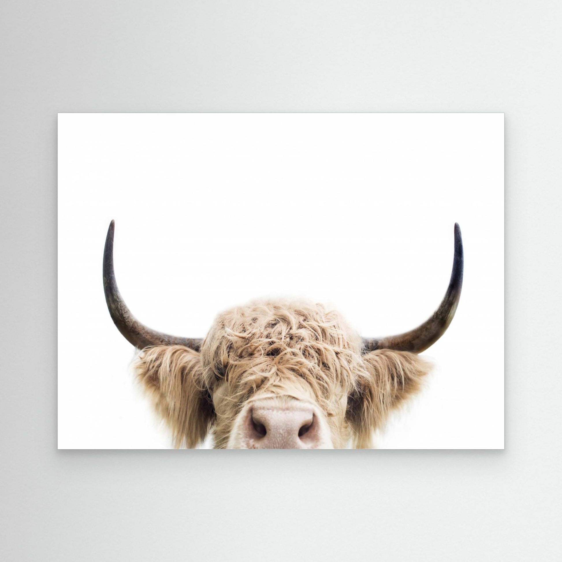 Peeking Cow by Kathrin Pienaar