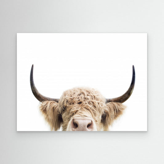 Peeking Cow by Kathrin Pienaar