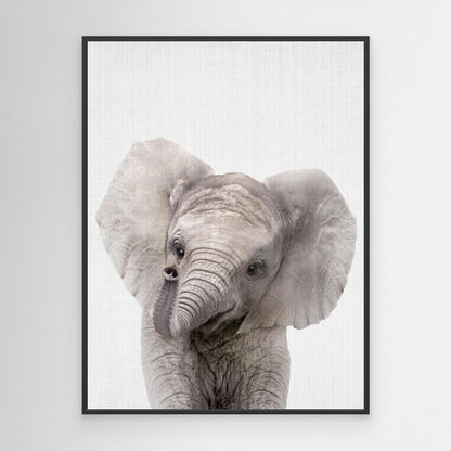 Peekaboo Baby Elephant by Lola Peacock