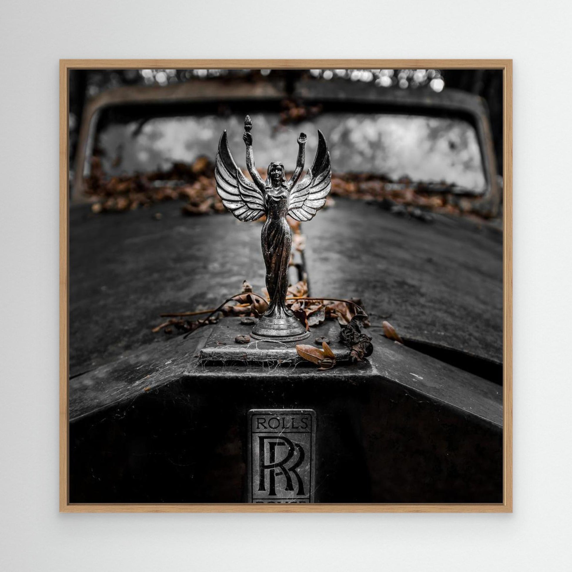 ... RR by Jörg  Vollrath