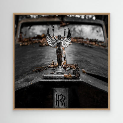 ... RR by Jörg  Vollrath