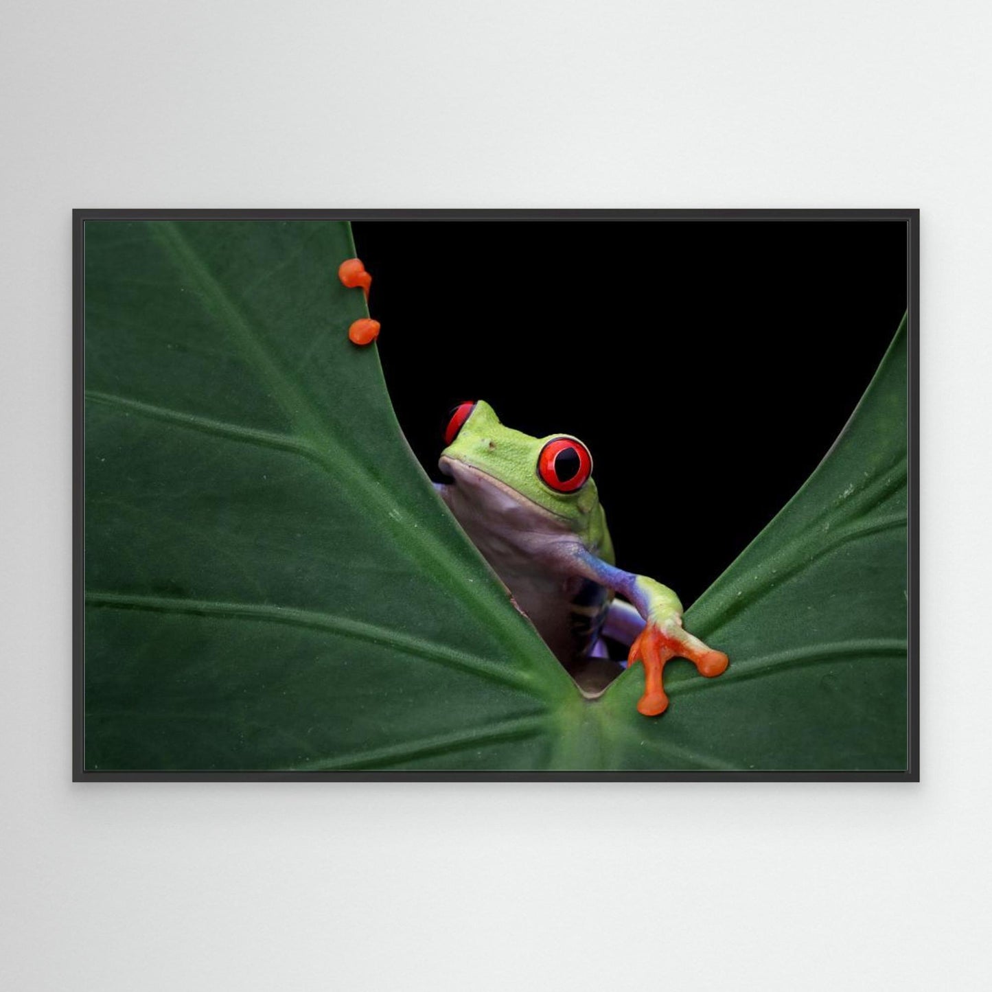 Peek a boo by Kurit Afsheen