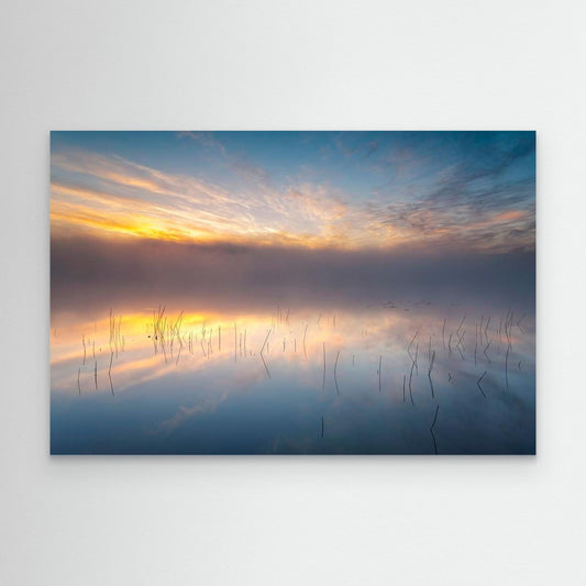 Reeds by Keller