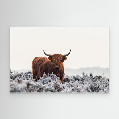 Highlander by Jaap Van Den Helm