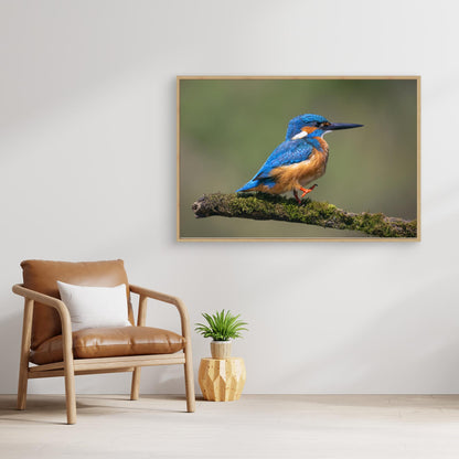 Left, right, left, right ... by Tony Goran