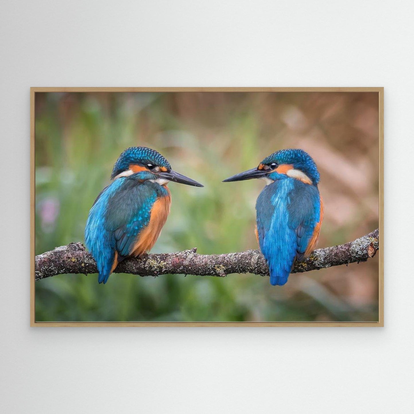 Sharing the perch by Kieran O Mahony