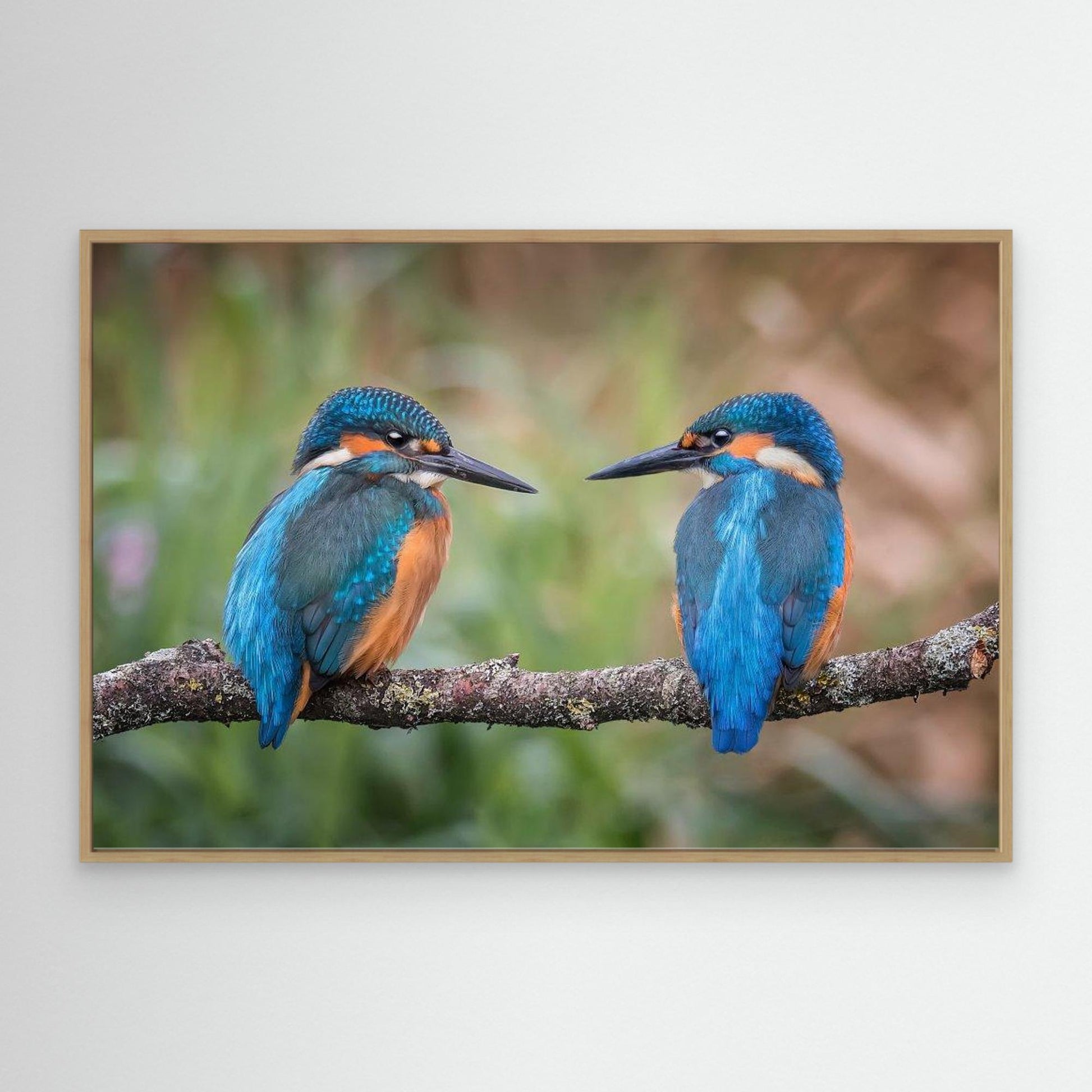 Sharing the perch by Kieran O Mahony