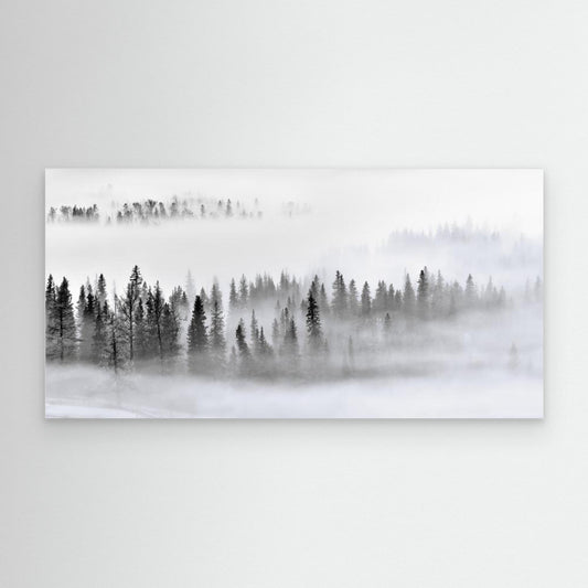 Foggy Forest by Mei Xu