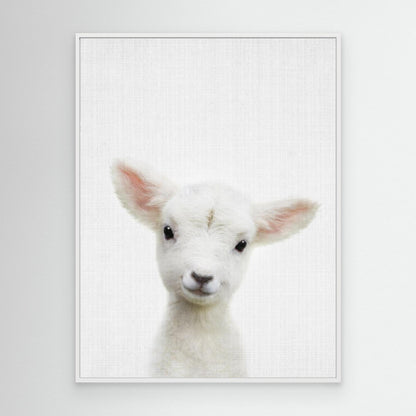 Peekaboo Baby Sheep by Lola Peacock