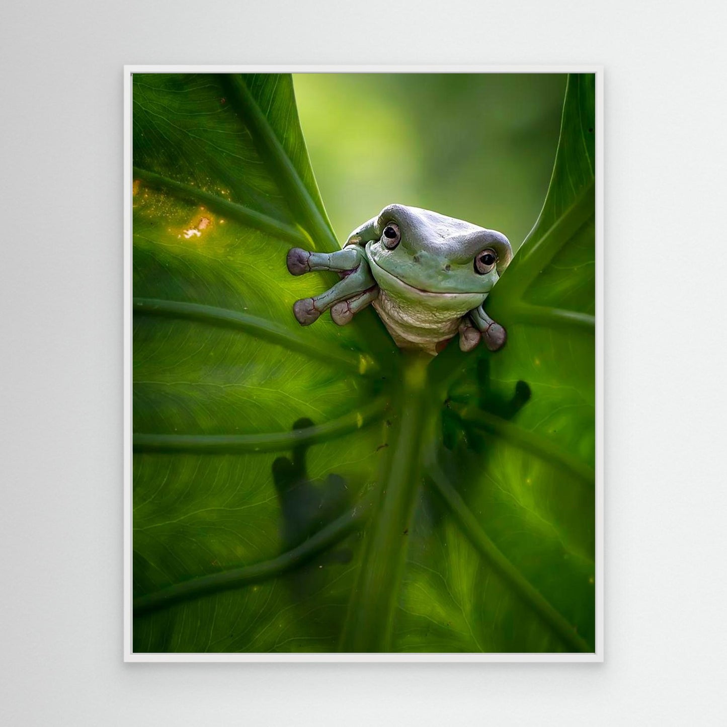 Peek A Boo by Fauzan Maududdin