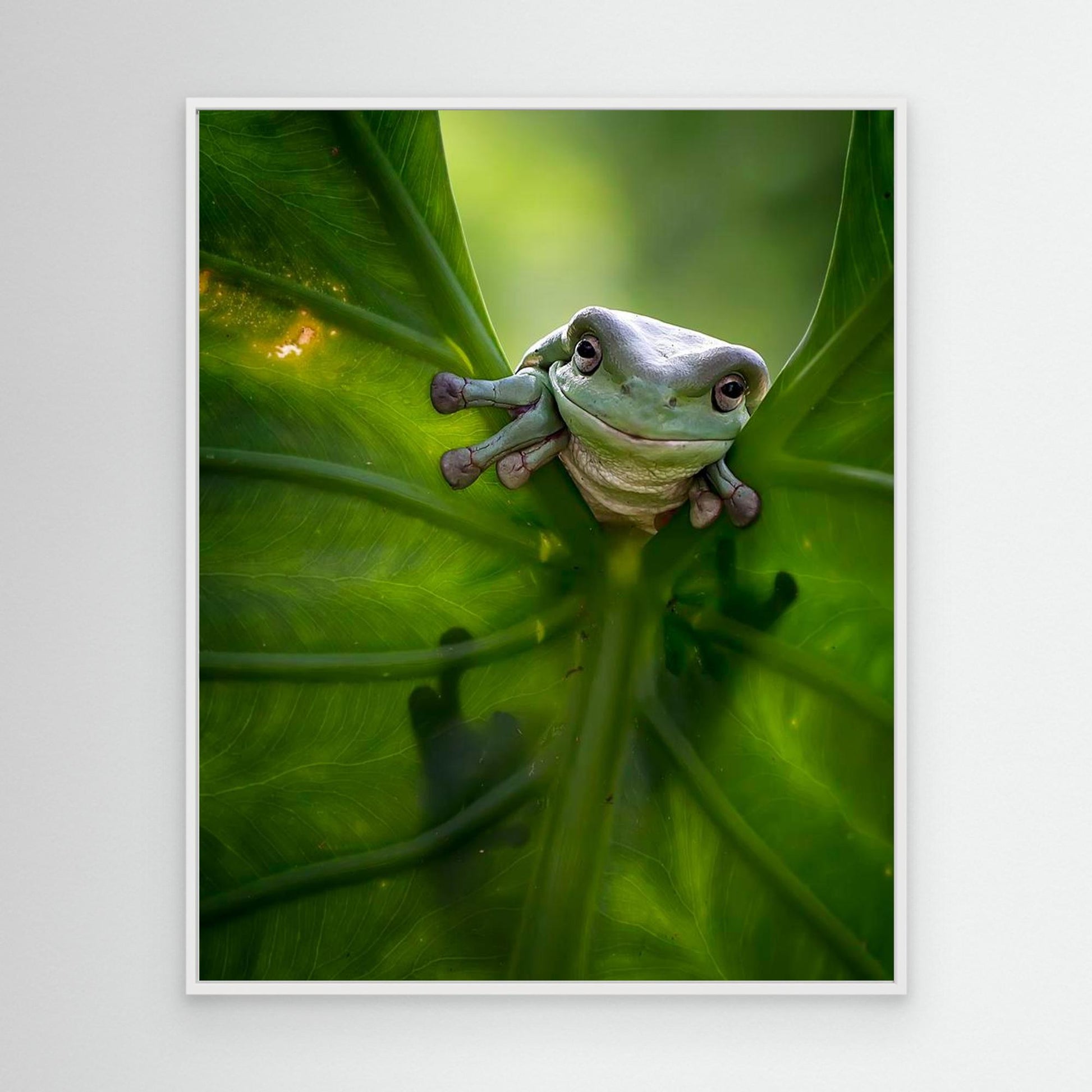Peek A Boo by Fauzan Maududdin