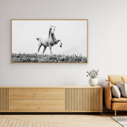 a short story about white beauty by Cembrzynski Ignacy