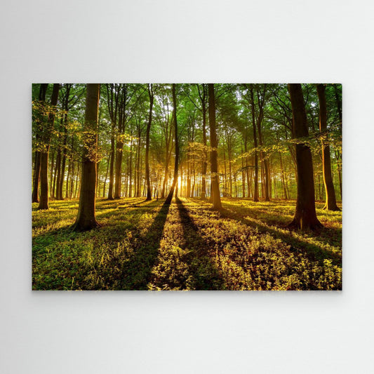 Forrest light by Keller