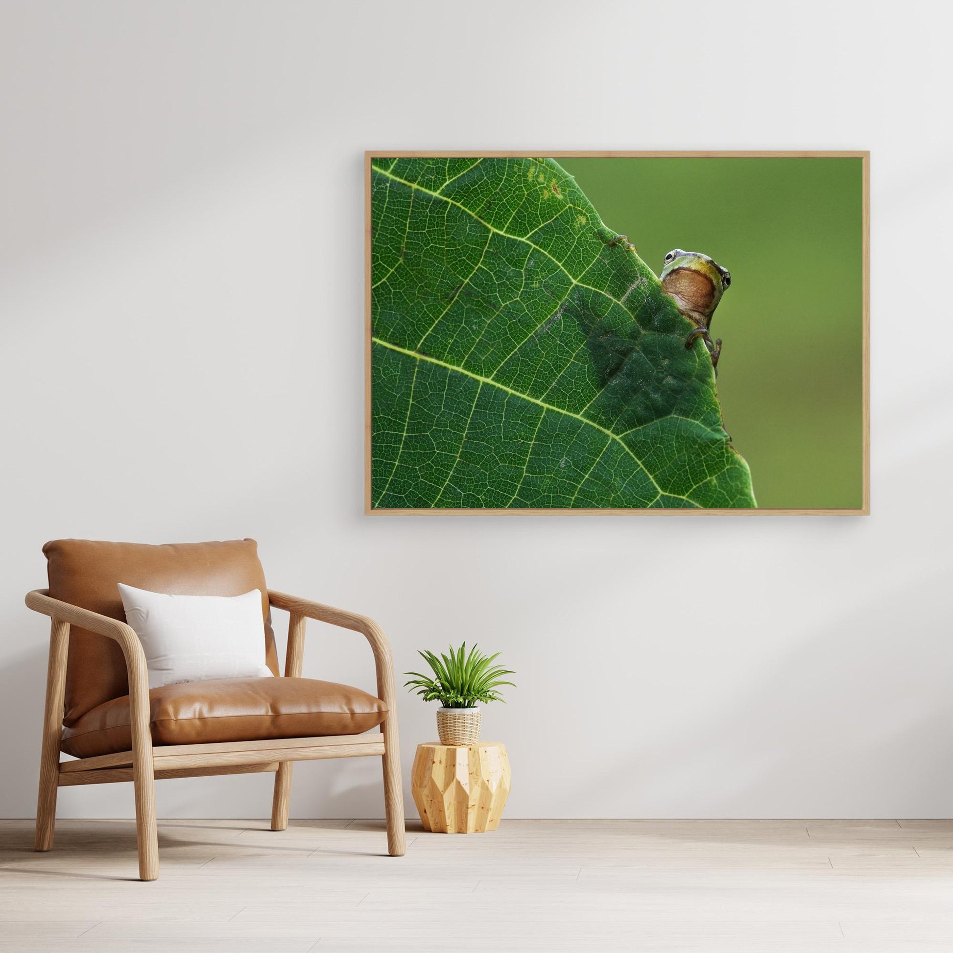 Peek A Boo! by Savas Sener