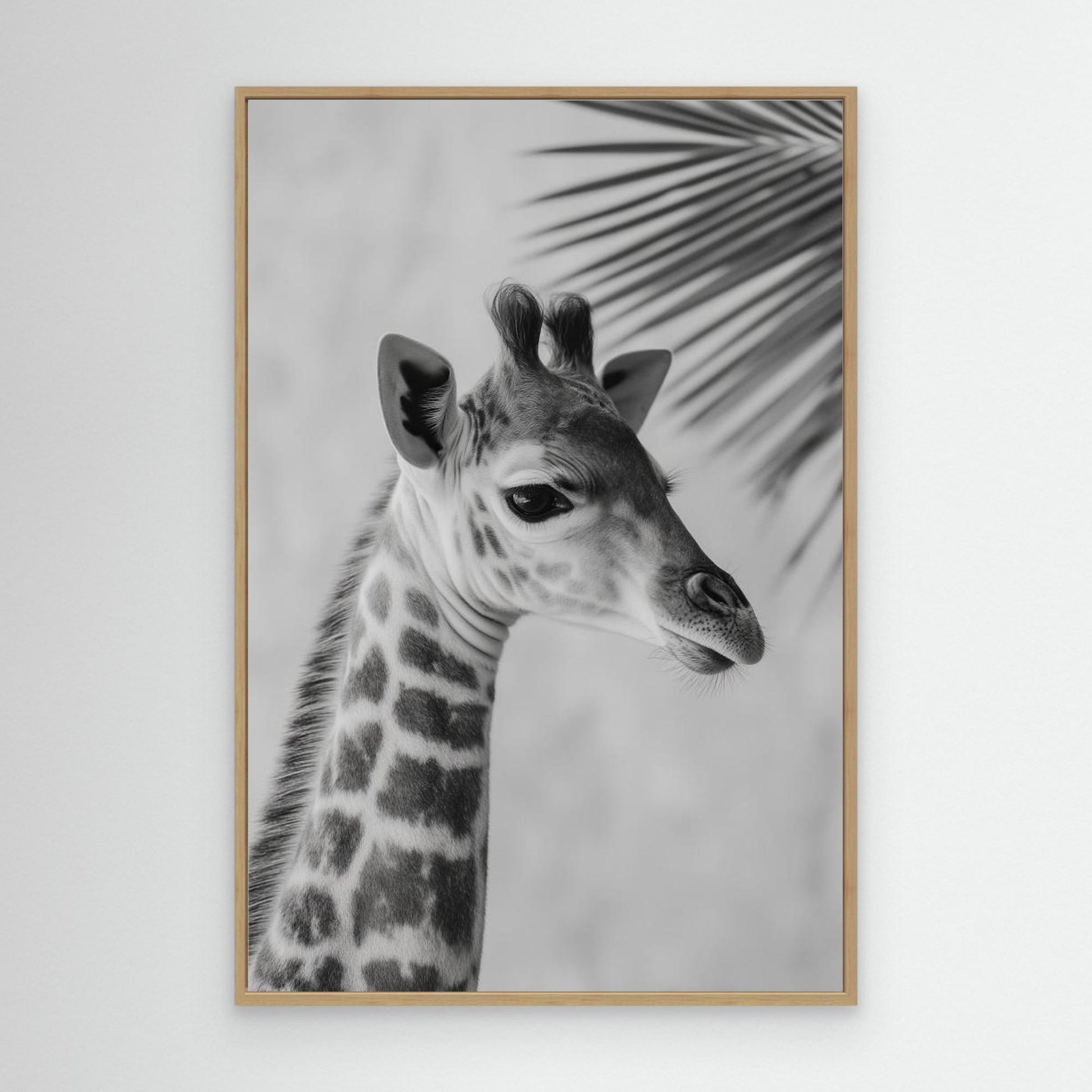 Young giraffe by Treechild