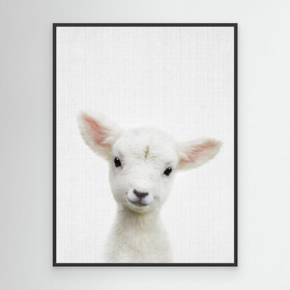 Peekaboo Baby Sheep by Lola Peacock