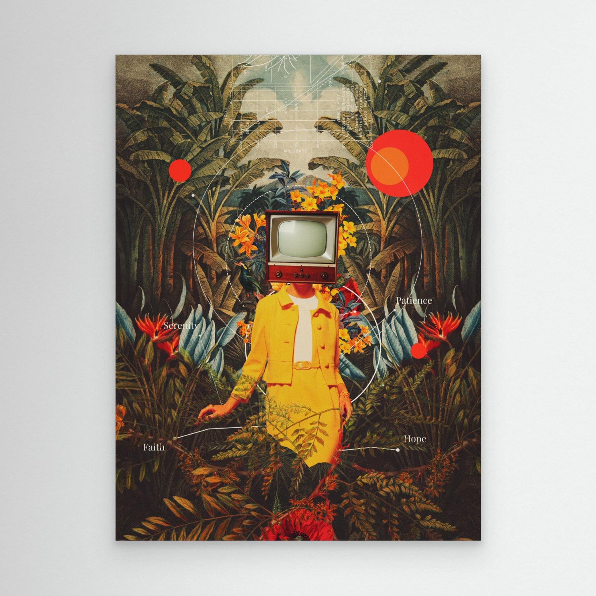 She Came From the Wilderness by Frank Moth