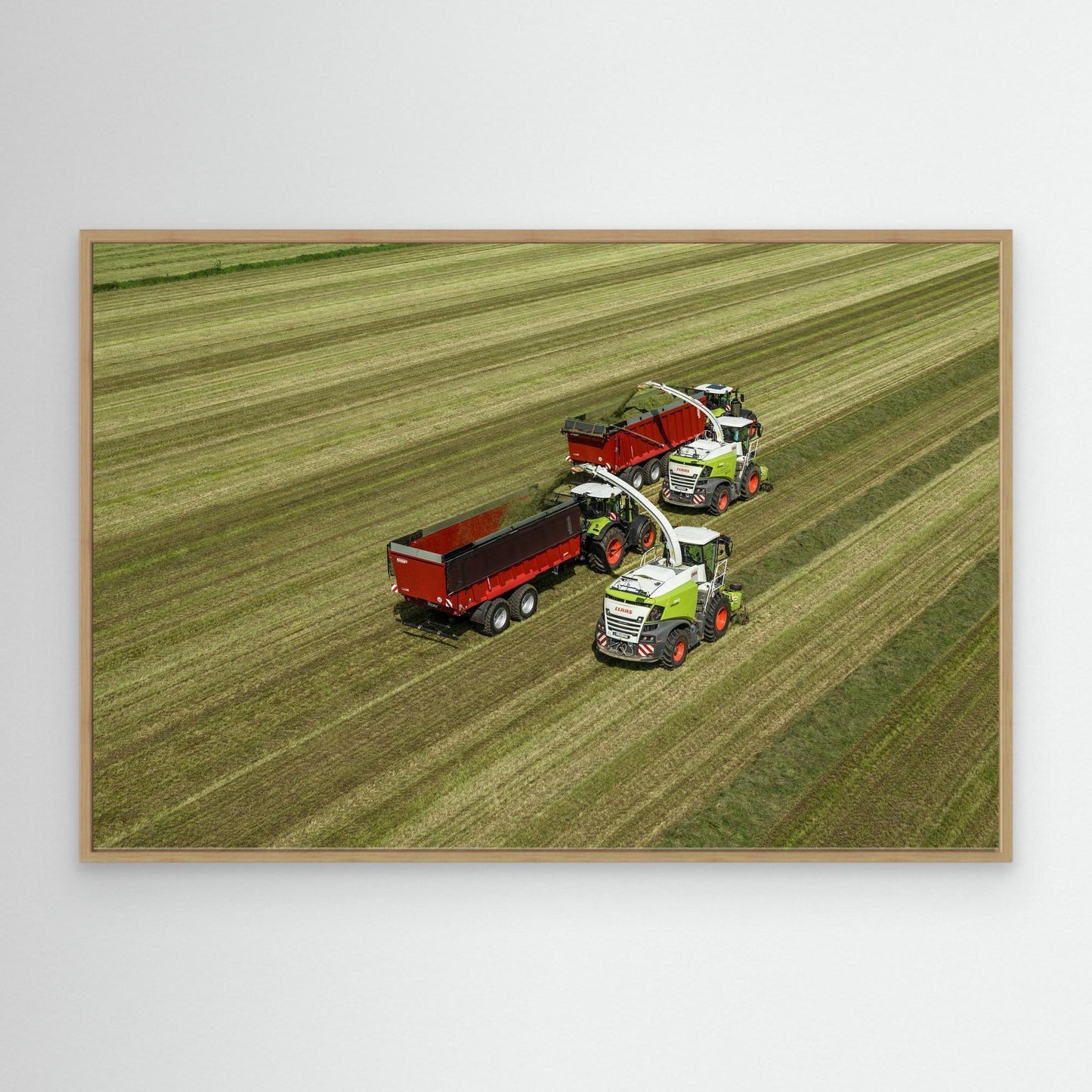 Claas Jaguar 960 Krampe Rambody750